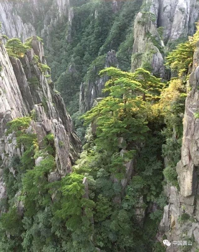 果脯冬瓜怎么做好吃？